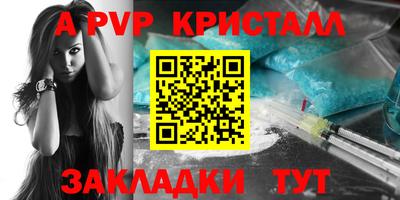 хмурый Кингисепп