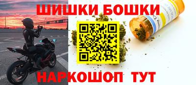 хмурый Кингисепп