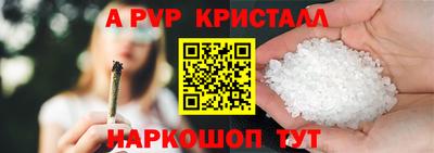 хмурый Кингисепп