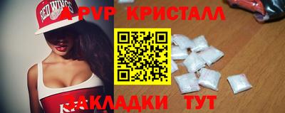 хмурый Кингисепп