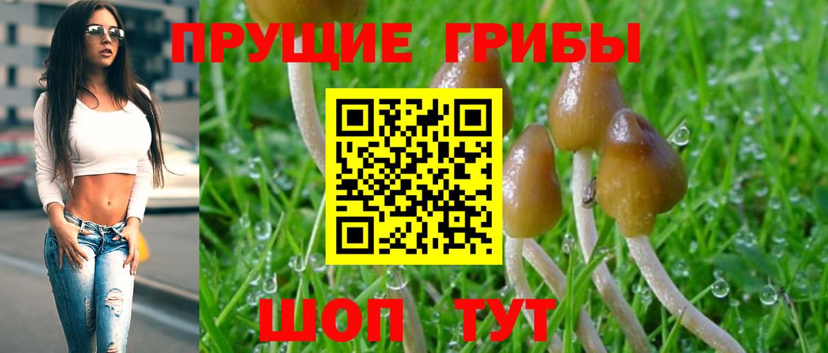 Псилоцибиновые грибы мухоморы Кострома